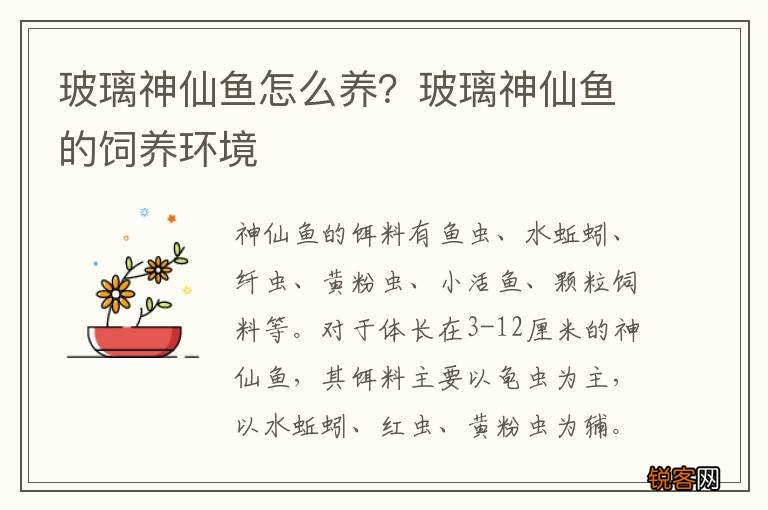 玻璃神仙鱼怎么养？玻璃神仙鱼的饲养环境