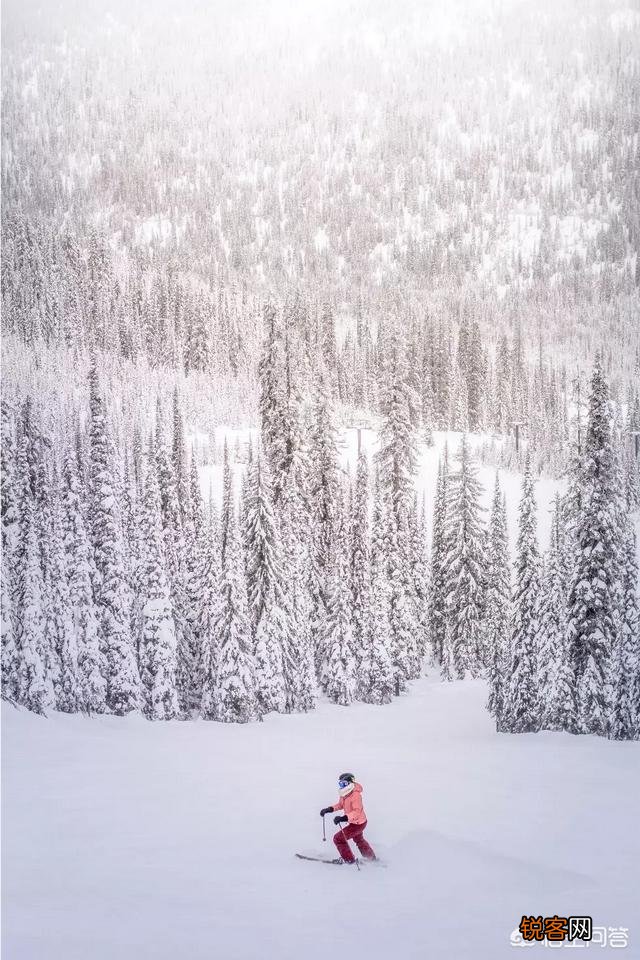 带着模特拍雪景,模特穿什么颜色的衣服,比较容易出镜？