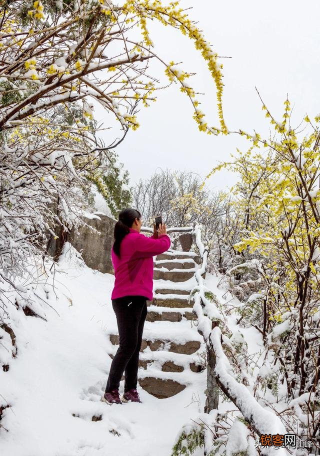雪中要不要拍？