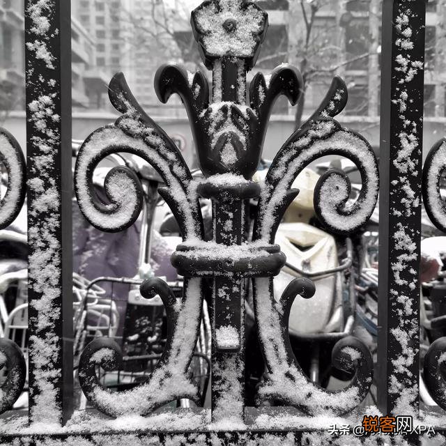 雪中要不要拍？