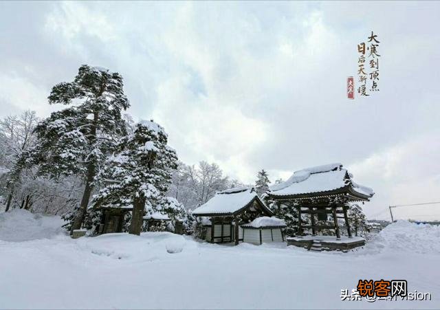 雪中要不要拍？