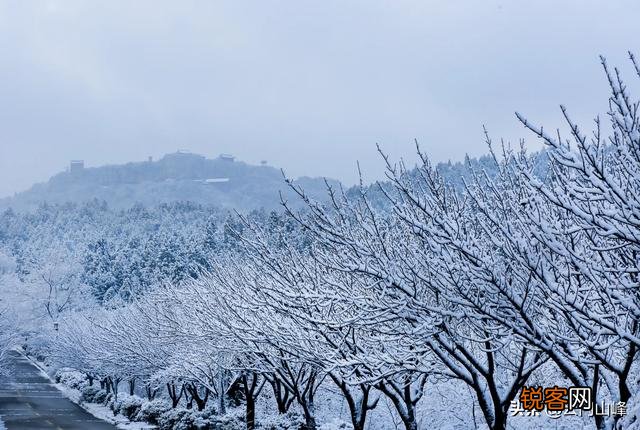 雪中要不要拍？