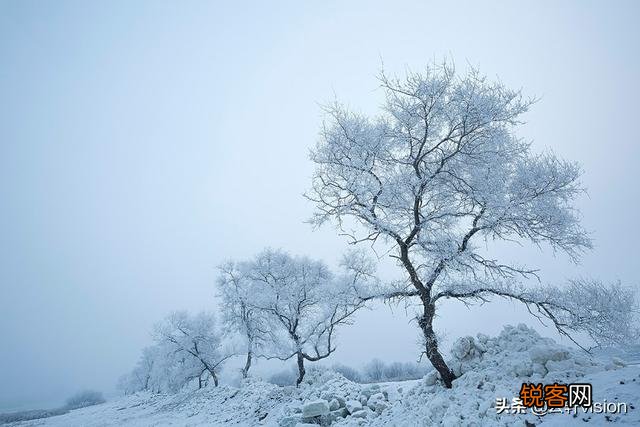 雪中要不要拍？