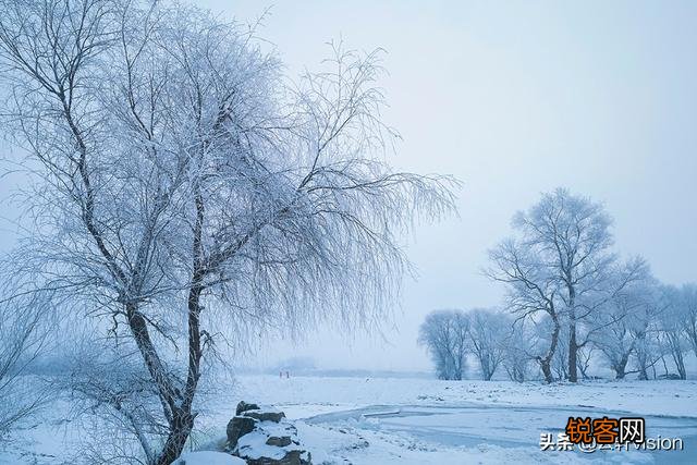 雪中要不要拍？