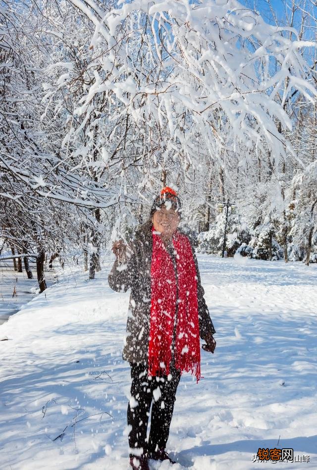 雪中要不要拍？