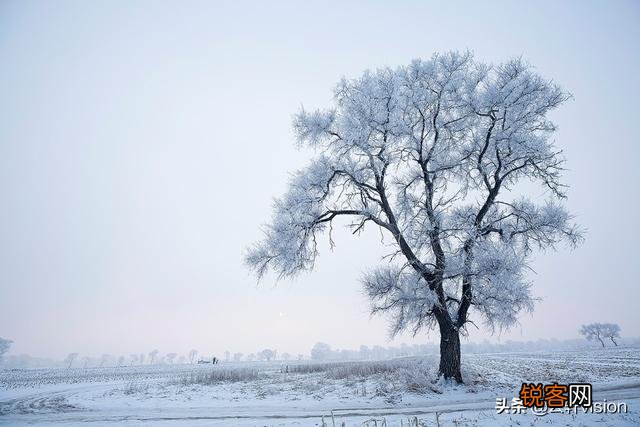 雪中要不要拍？