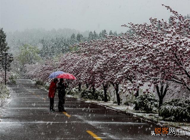 雪中要不要拍？