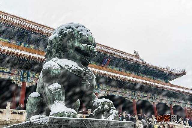 雪中要不要拍？