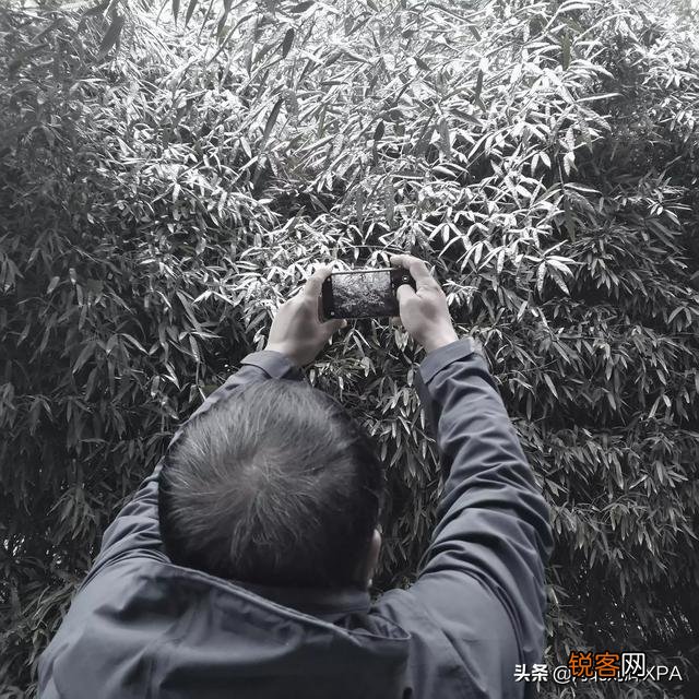 雪中要不要拍？