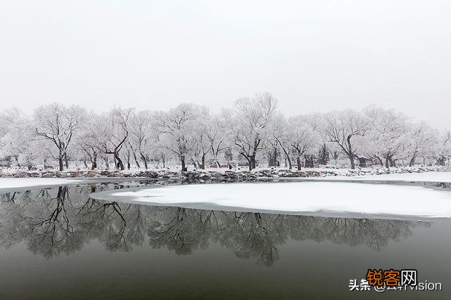 雪中要不要拍？