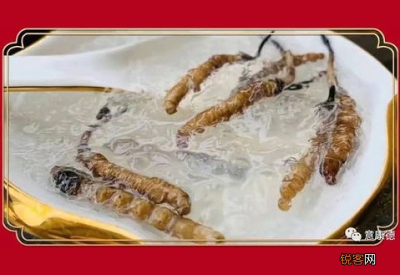 东北虫草的功效与作用 东北虫草的食用方式和注意事项