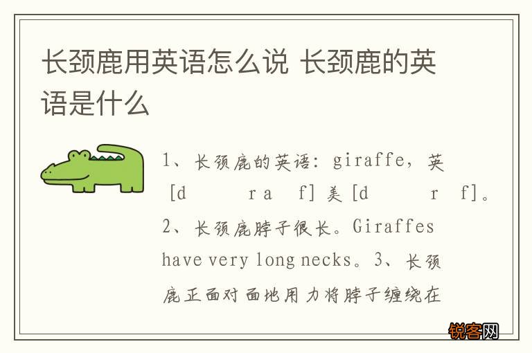 长颈鹿用英语怎么说 长颈鹿的英语是什么