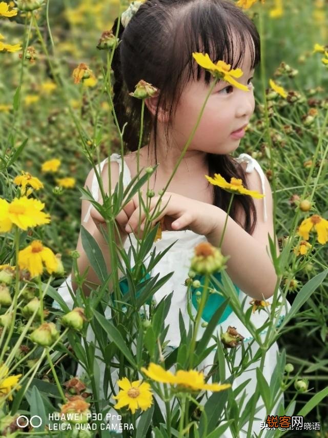 你的圈子里,长得最美的女性是怎样的？