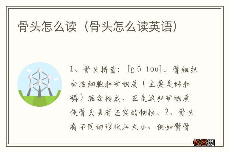 骨头怎么读英语 骨头怎么读