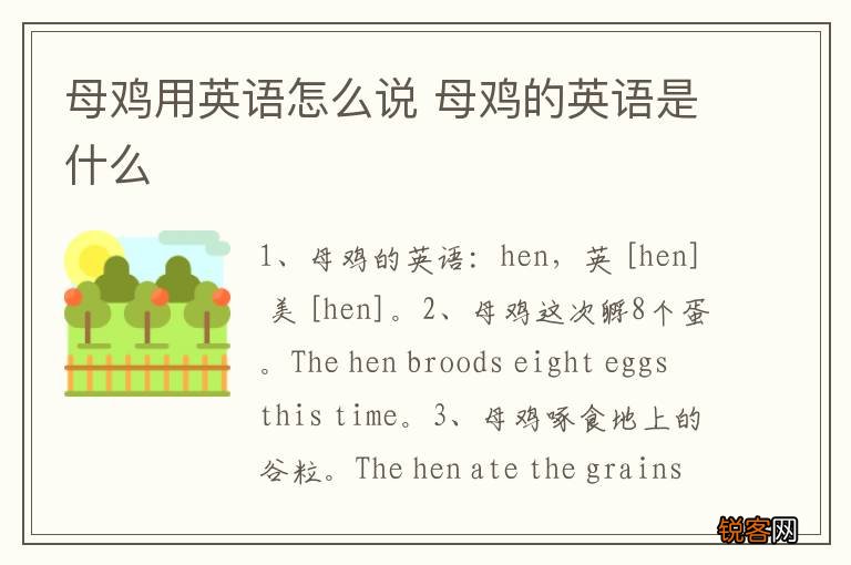 母鸡用英语怎么说 母鸡的英语是什么