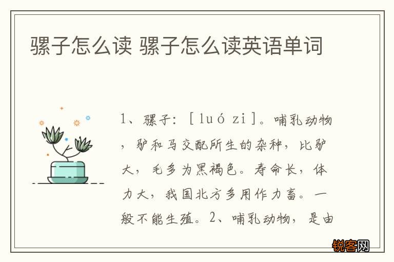骡子怎么读 骡子怎么读英语单词
