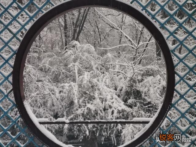下雪时就在小区楼下,怎么给孩子拍一组漂亮的照片？