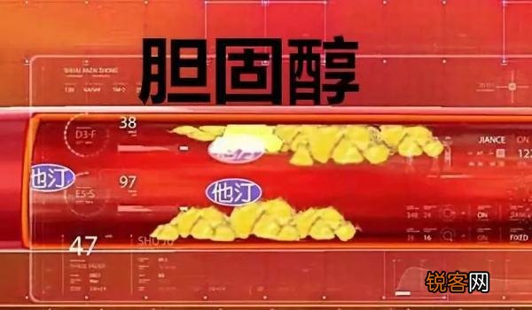 植物油比动物油更健康吗 几个用油小误区
