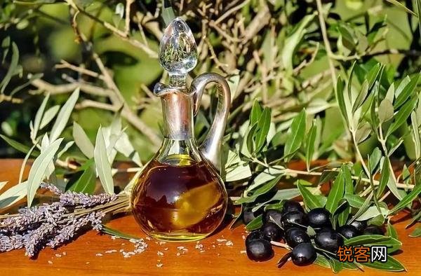 植物油比动物油更健康吗 几个用油小误区
