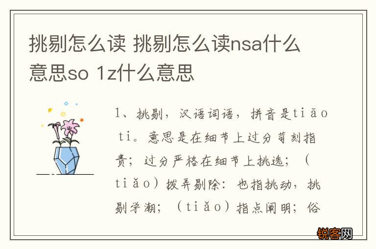 挑剔怎么读 挑剔怎么读nsa什么意思so 1z什么意思