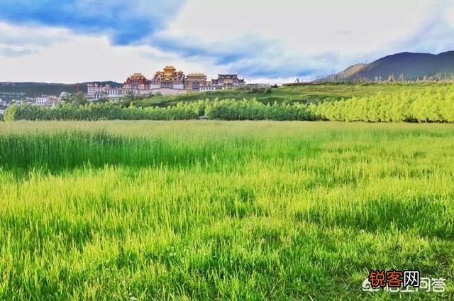 和老公度蜜月,哪些地点值得去?