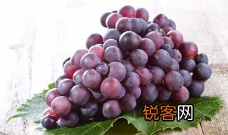 中国中原地区种植葡萄始于什么朝代 中国中原地区种植葡萄始于那个朝代