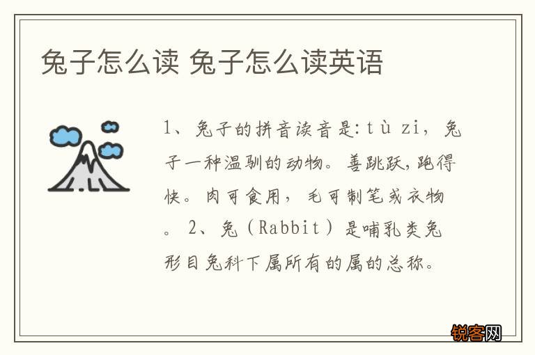 兔子怎么读 兔子怎么读英语