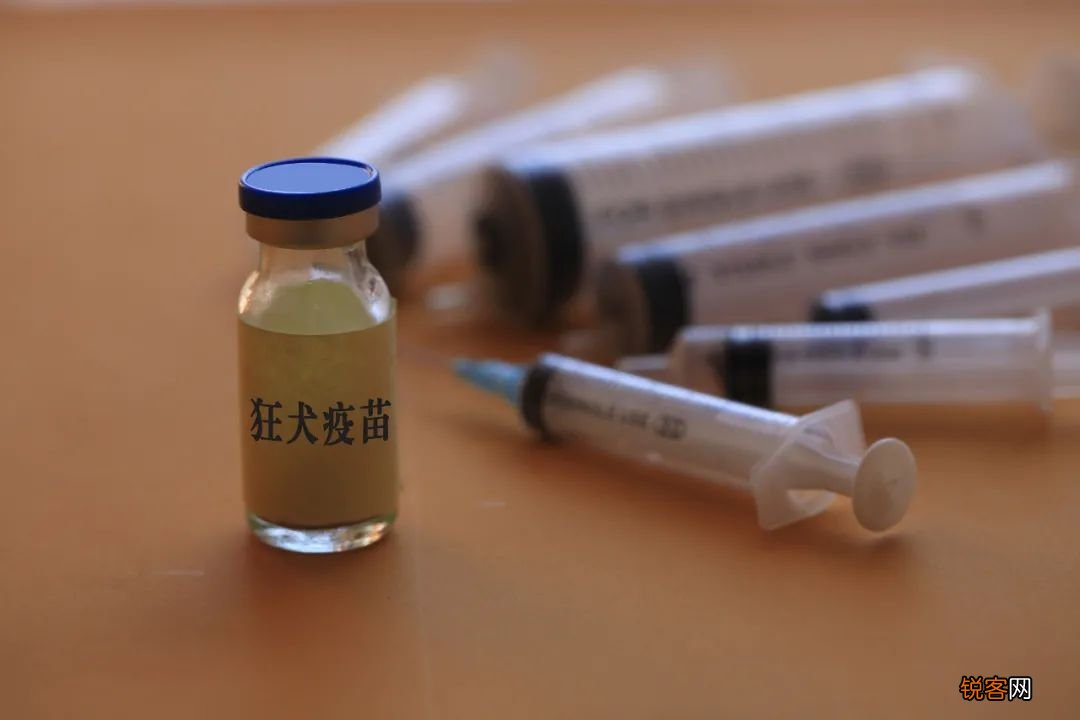 被宠物抓伤需要打狂犬疫苗吗 什么情况下不用打