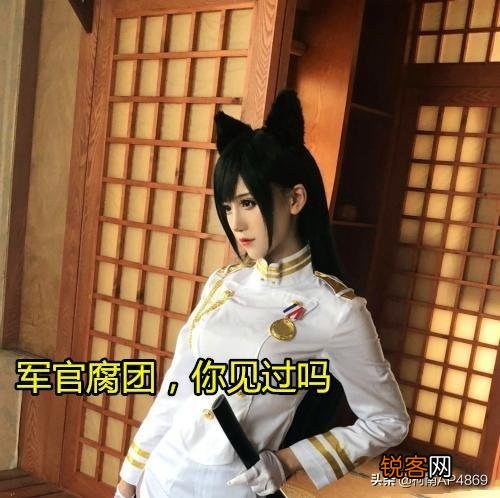 腐团儿房管晒出珍藏Cos照片,玩家直言这可能就是“付费房管”的福利吧,如何评价？