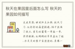 秋天在果园里后面怎么写 秋天的果园如何描写