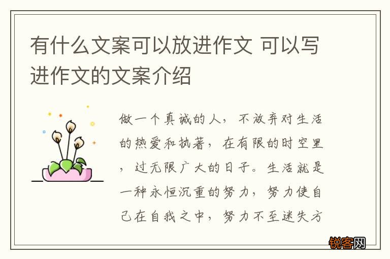 有什么文案可以放进作文 可以写进作文的文案介绍