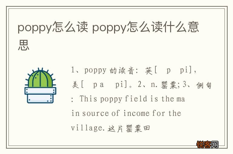poppy怎么读 poppy怎么读什么意思