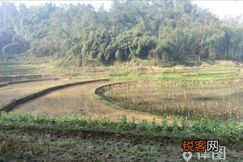 宅基地盖房是夫妻共同财产吗