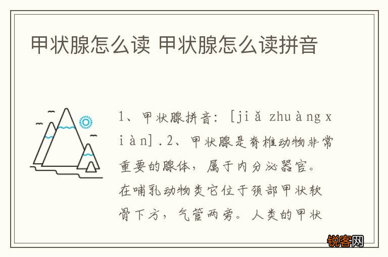 甲状腺怎么读 甲状腺怎么读拼音