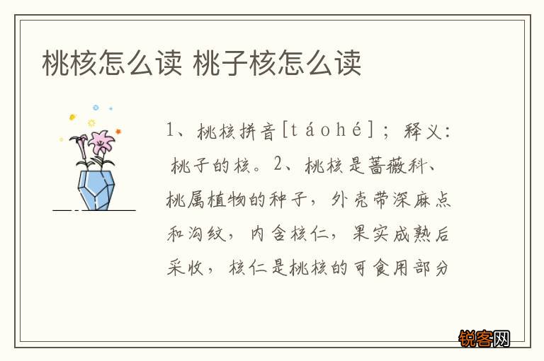 桃核怎么读 桃子核怎么读
