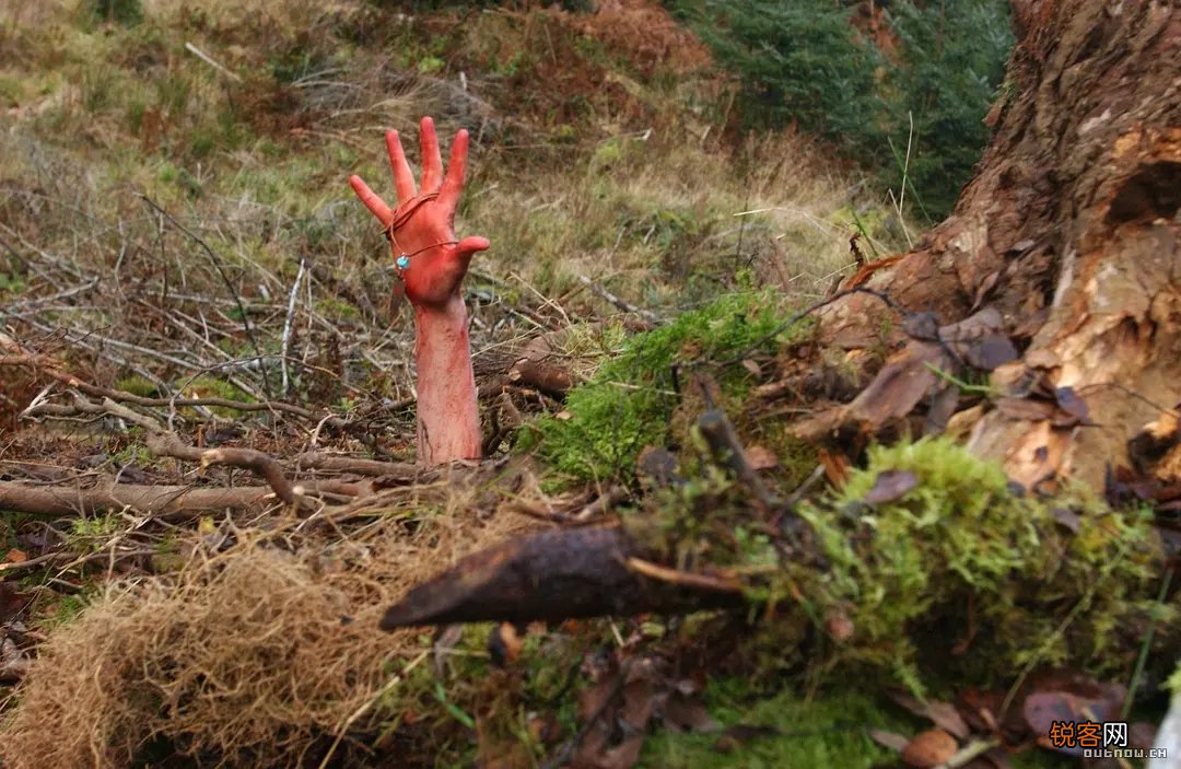 评分9.0以上的鬼片 评分最高的十大欧美恐怖片
