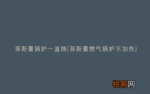 菲斯曼燃气锅炉不加热 菲斯曼锅炉一直烧