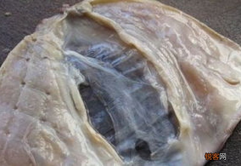 墨鱼干泡发用什么水