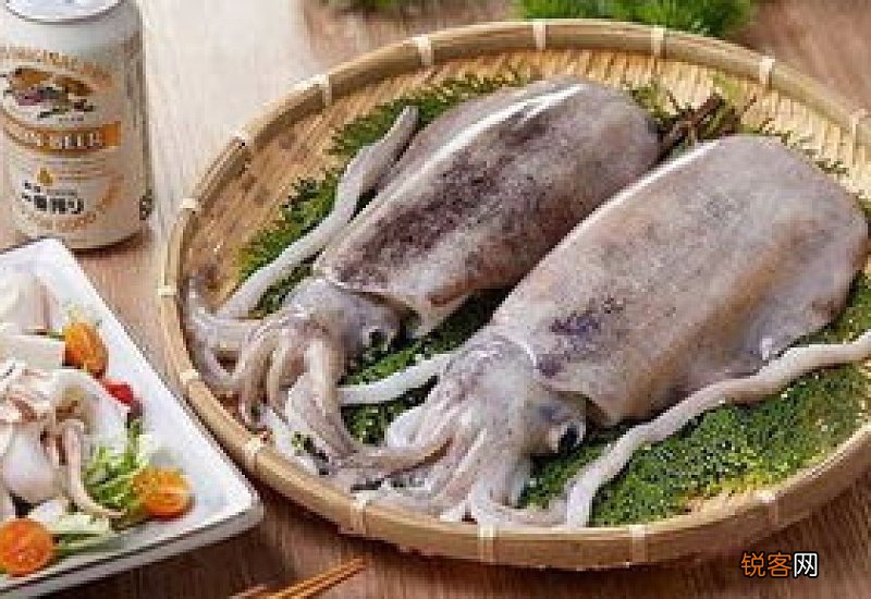 墨鱼干什么颜色好一点