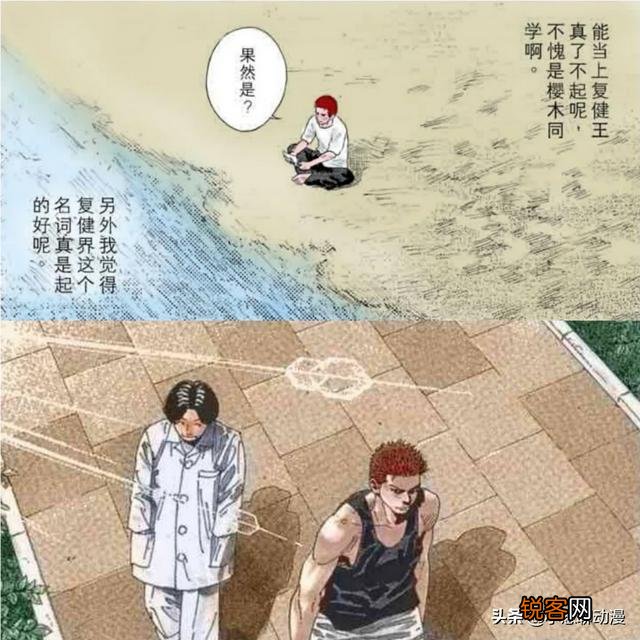 在《灌篮高手》这部动漫作品中,都有哪些谜团至今无法解开？