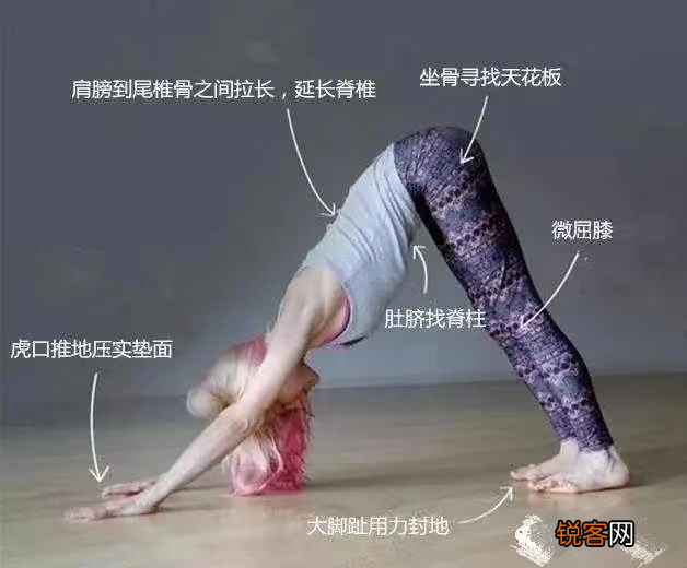 瑜伽基础入门姿势 初学者在家就能练瑜伽