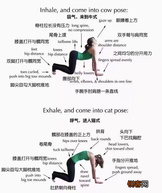 瑜伽基础入门姿势 初学者在家就能练瑜伽