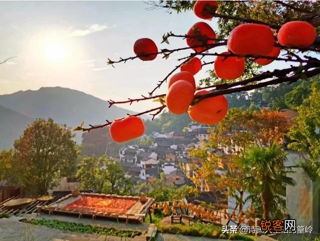 你认为,你去过的旅游地方,哪里最好？