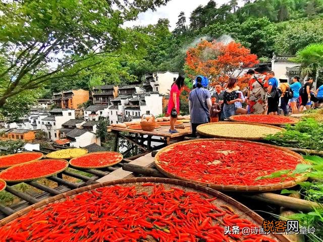 你认为,你去过的旅游地方,哪里最好？