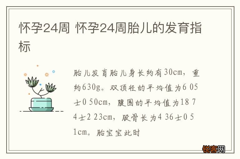 怀孕24周 怀孕24周胎儿的发育指标