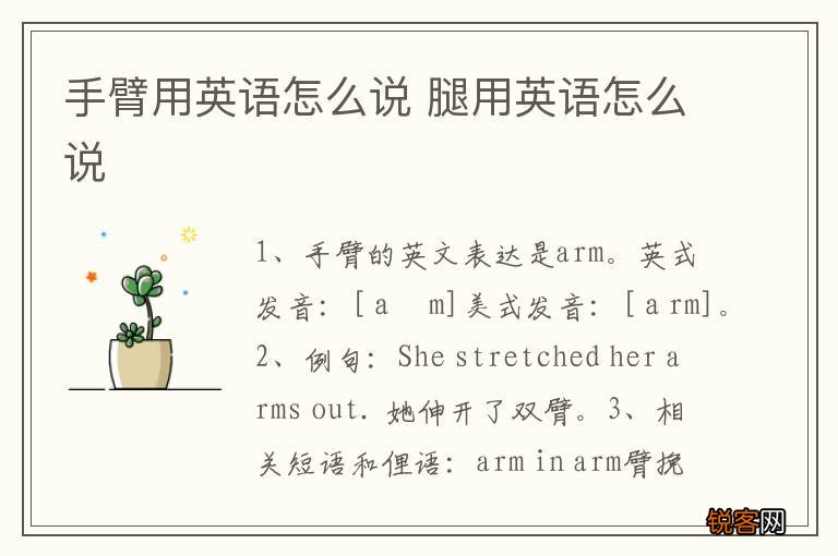 手臂用英语怎么说 腿用英语怎么说