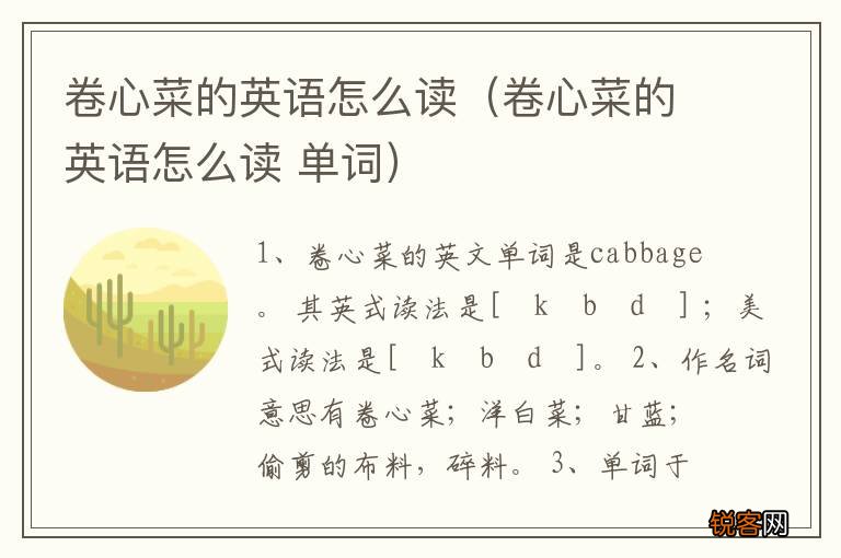 卷心菜的英语怎么读 单词 卷心菜的英语怎么读