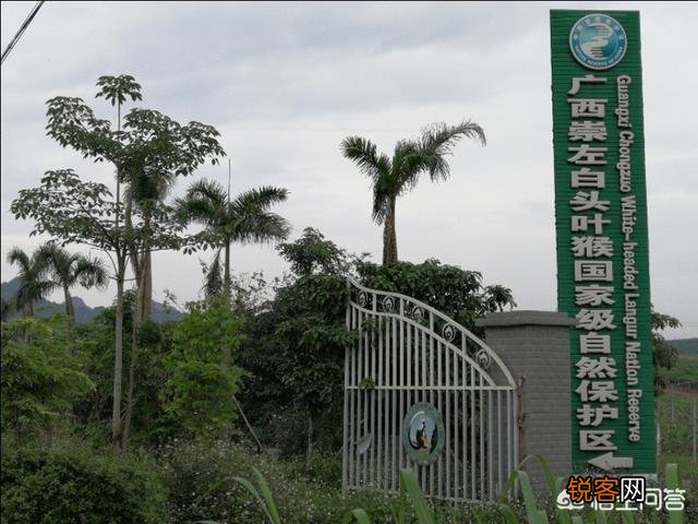 哪些旅游景点能让人心潮澎湃,觉得值得一去呢？