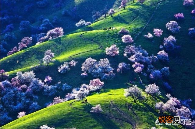 在中国境内,大家最想去的旅游景点是哪里？可是是五个、也可以是八个？