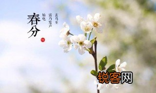 春分的风俗活动和寓意 春分的风俗活动和寓意分别什么